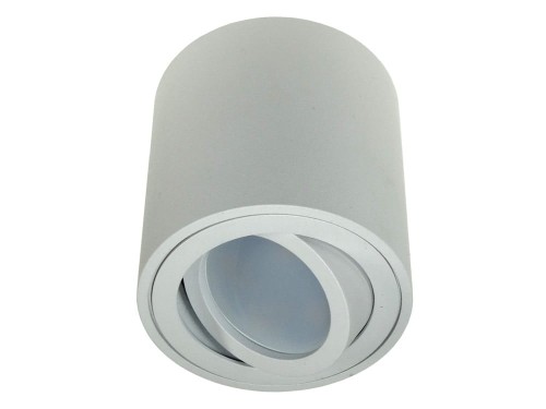 febe biała 1 (1).jpg