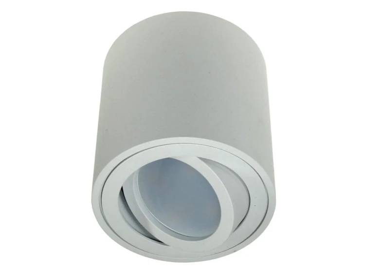 febe biała 1 (1).jpg