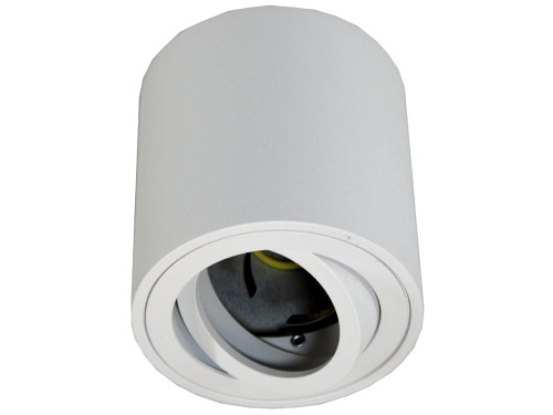 febe biała 1 (2).jpg