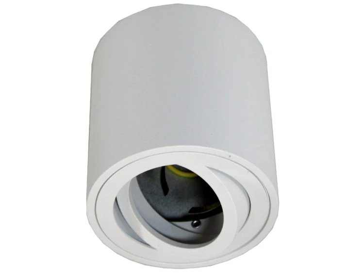 febe biała 1 (2).jpg