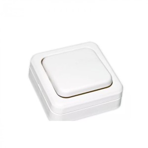 Wyłącznik WIN-1-NW-BI nawierzchniowy  klawiszowy, z dystansem 250V  biały