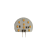 G4.png